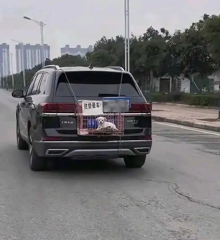 这算遮挡车牌号吗 