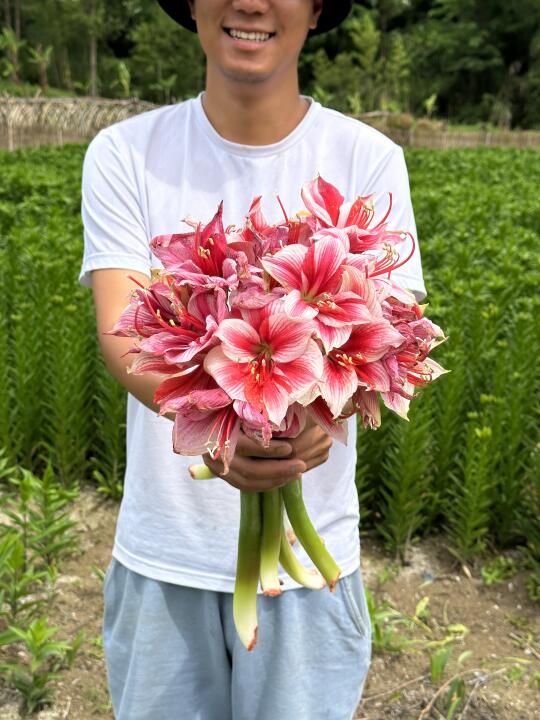 花瓶