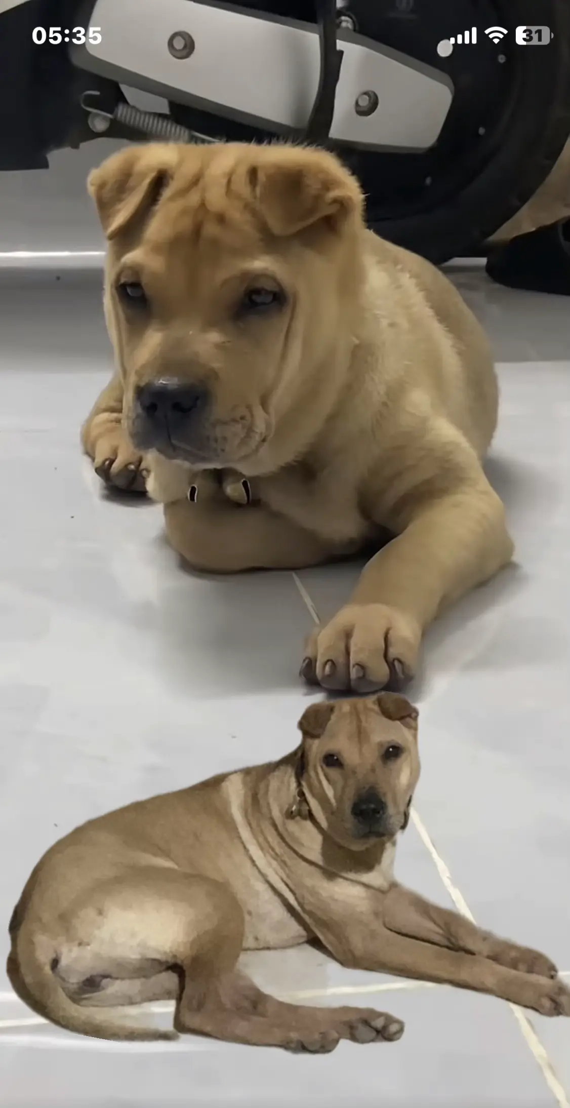 变化不是很大。