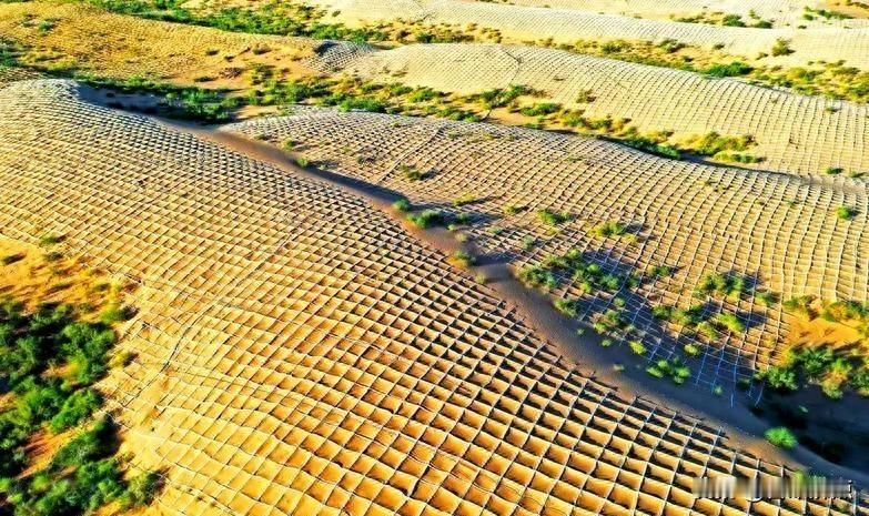 沙海变绿洲，外国媒体直呼可怕，中国到底怎么做到的？
今天刷到一条新闻，说咱们国家