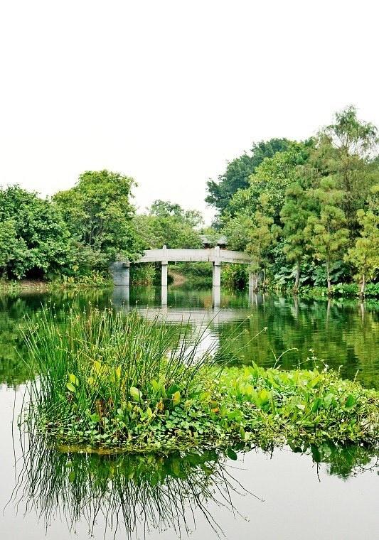 📍广州 海珠国家湿地公园
笔记任务中心每日成长任务1. 区位与规模：位于广州市