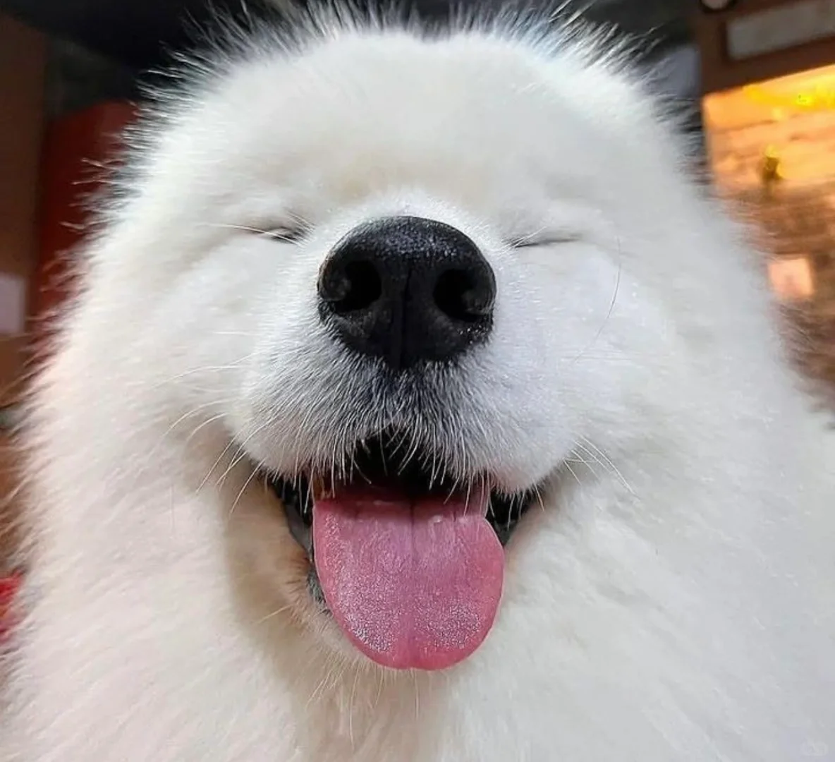 开心的眼睛都睁不开了