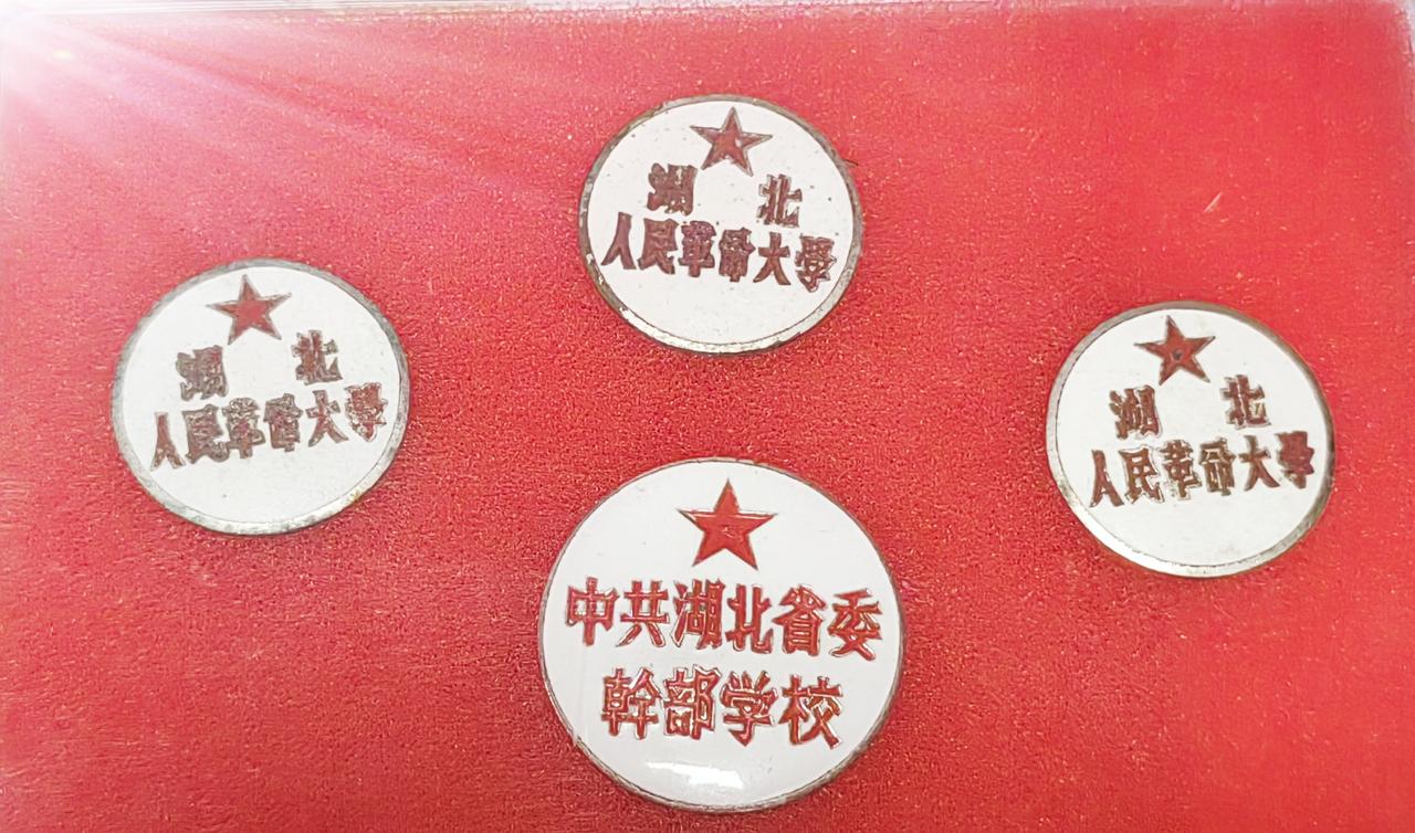 今天晚上没事，翻出我收藏的校徽。这老校徽，是我收藏了二十几多年积攒下来的！可惜都