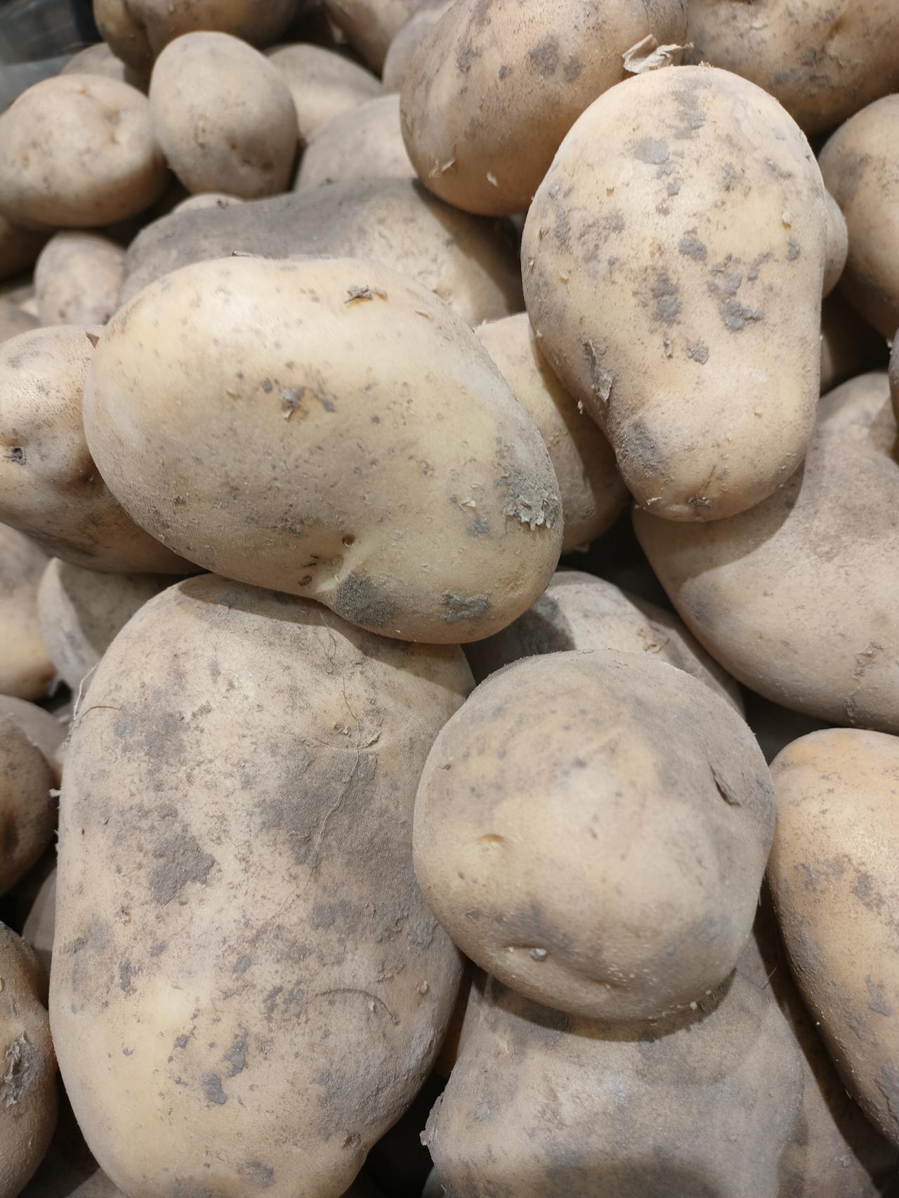 他说女人买菜就是麻烦，春天的土豆都一个样。
他不知道的是，我挑选土豆，不是挑个儿