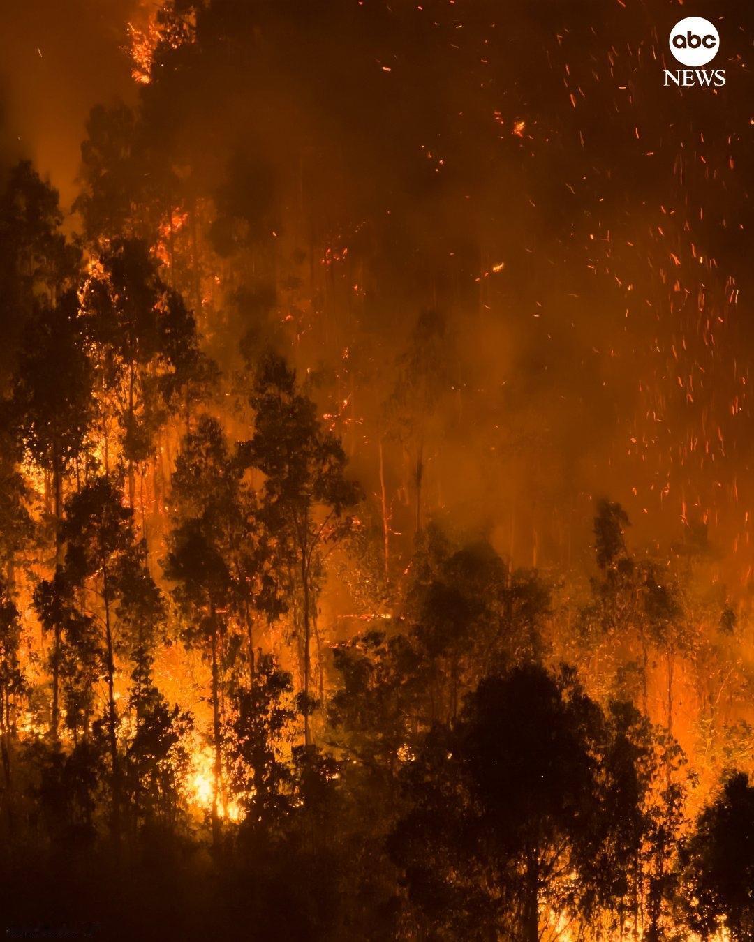 智利森林大火肆虐，已造成至少 19 人死亡，1500 人无家可归，消防员正在奋力