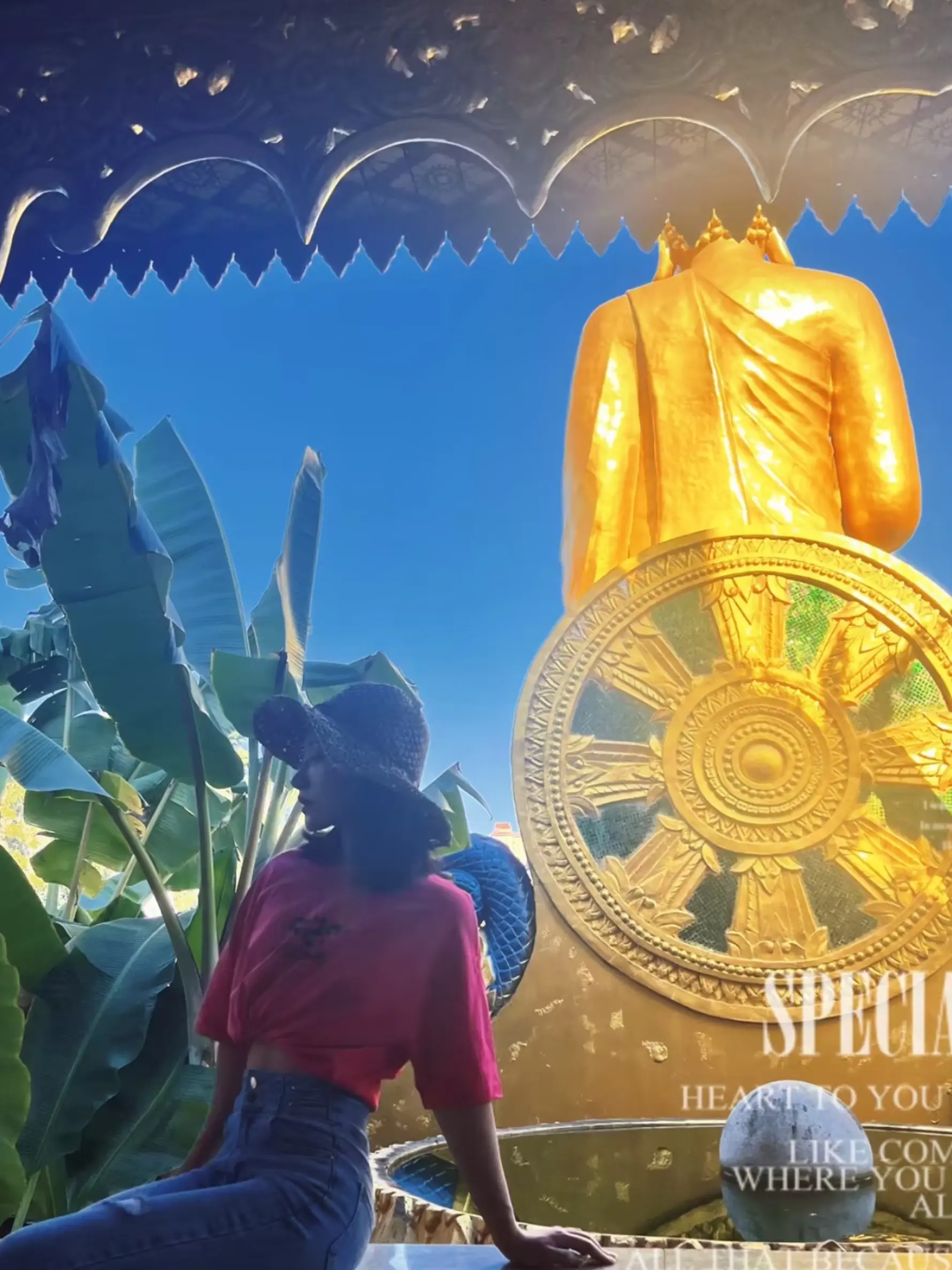 執著越多，痛苦就越多 / 抓得越緊，苦痛越深