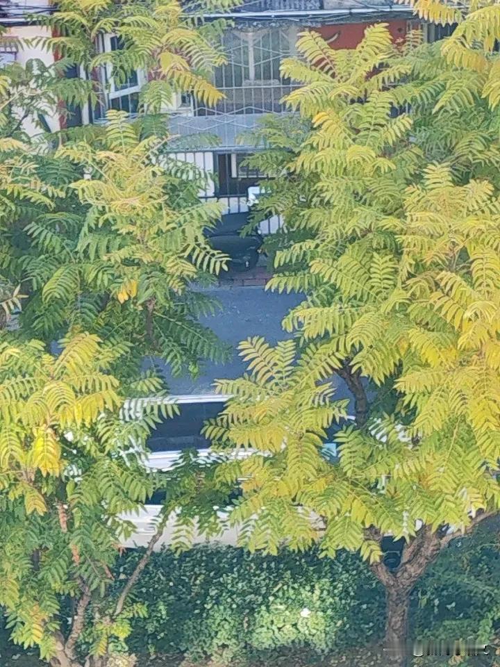 不能局限于某一个人。也不能宥于某一个时代。
也许是过去，也许是现在，也许是将来。