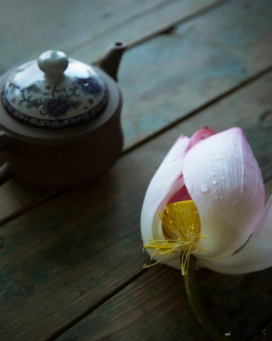 “懂你的人”


像布洛芬
——说不清你哪里疼
但能缓解所有难受。

不问你为何