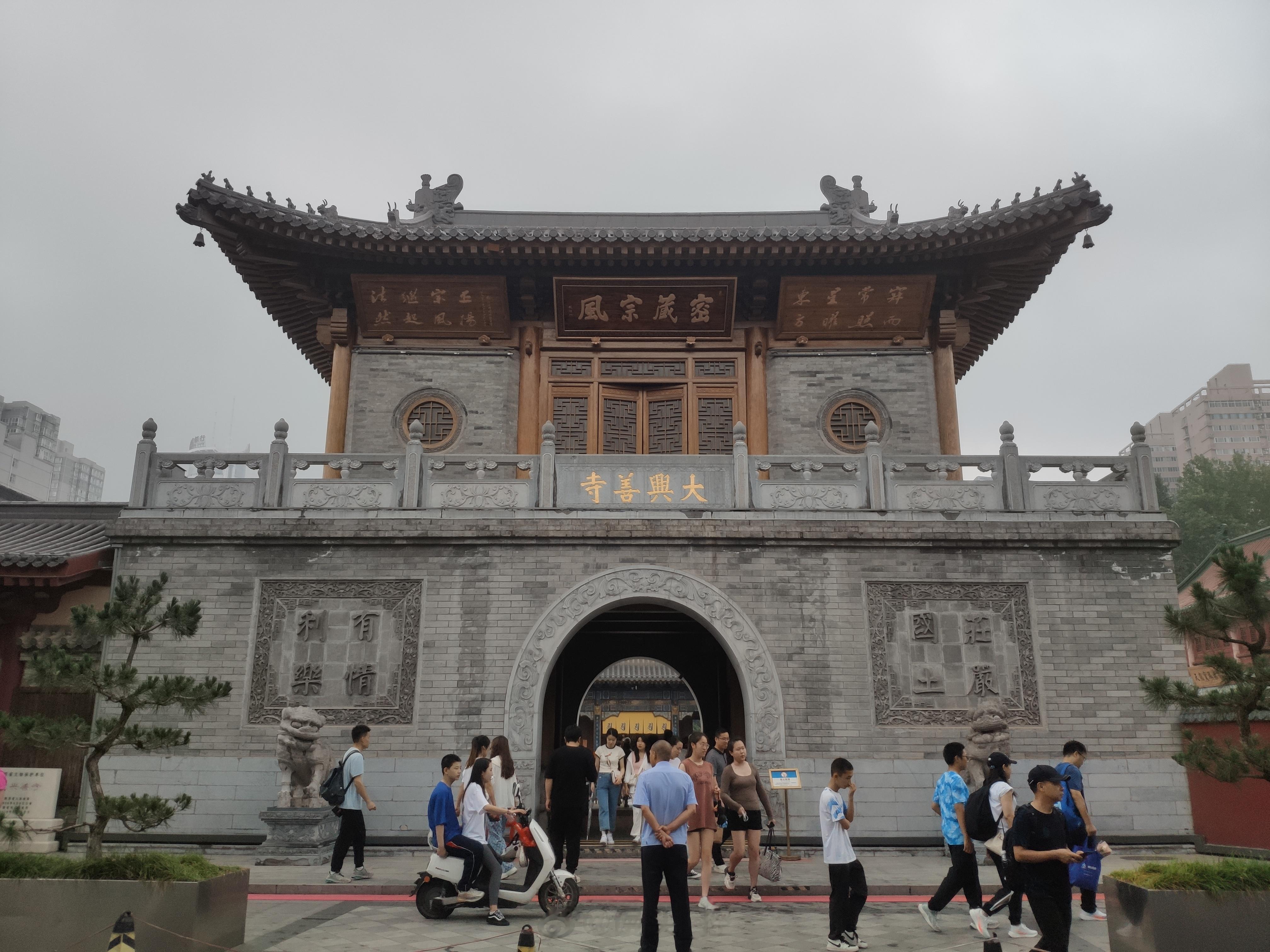 #馒头控的日常# 现在小雁塔也得提前三天约了[允悲]提前一天基本约不上。只能看看
