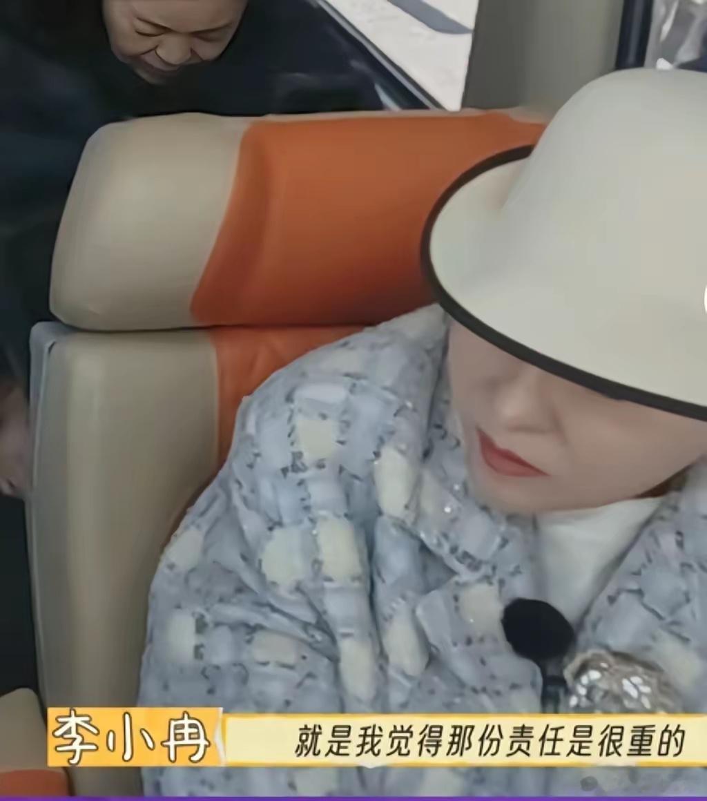 李小冉当年为了要孩子，认真到连游戏都换了。 ​​​