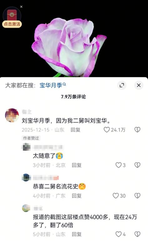 云南省农科院为月季新品种发起的征名活动意外走红，山东网友一句“刘宝华月季，因为我