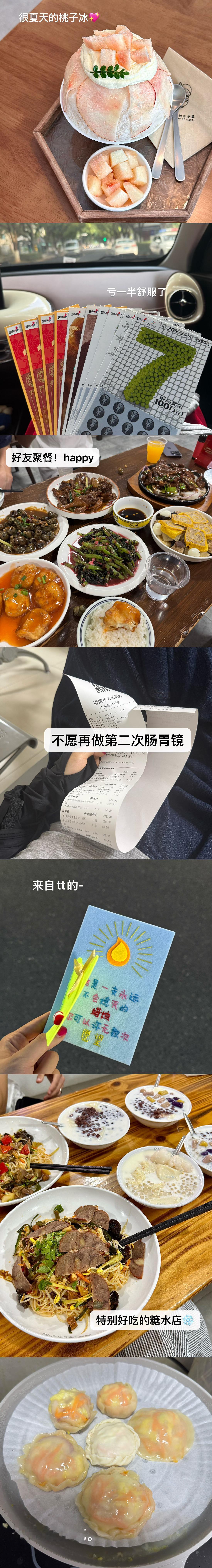 横跨夏秋冬的猪咪日记柯柯plog ​​​