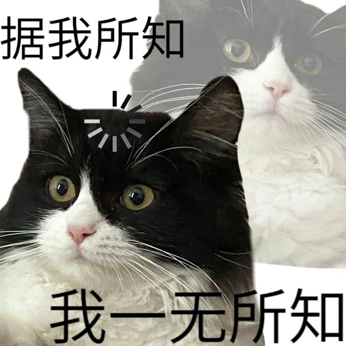 汤家凤直批年轻人该玩时装努力 汤老师的话挺扎心但也实在。努力不该是给别人看的，而