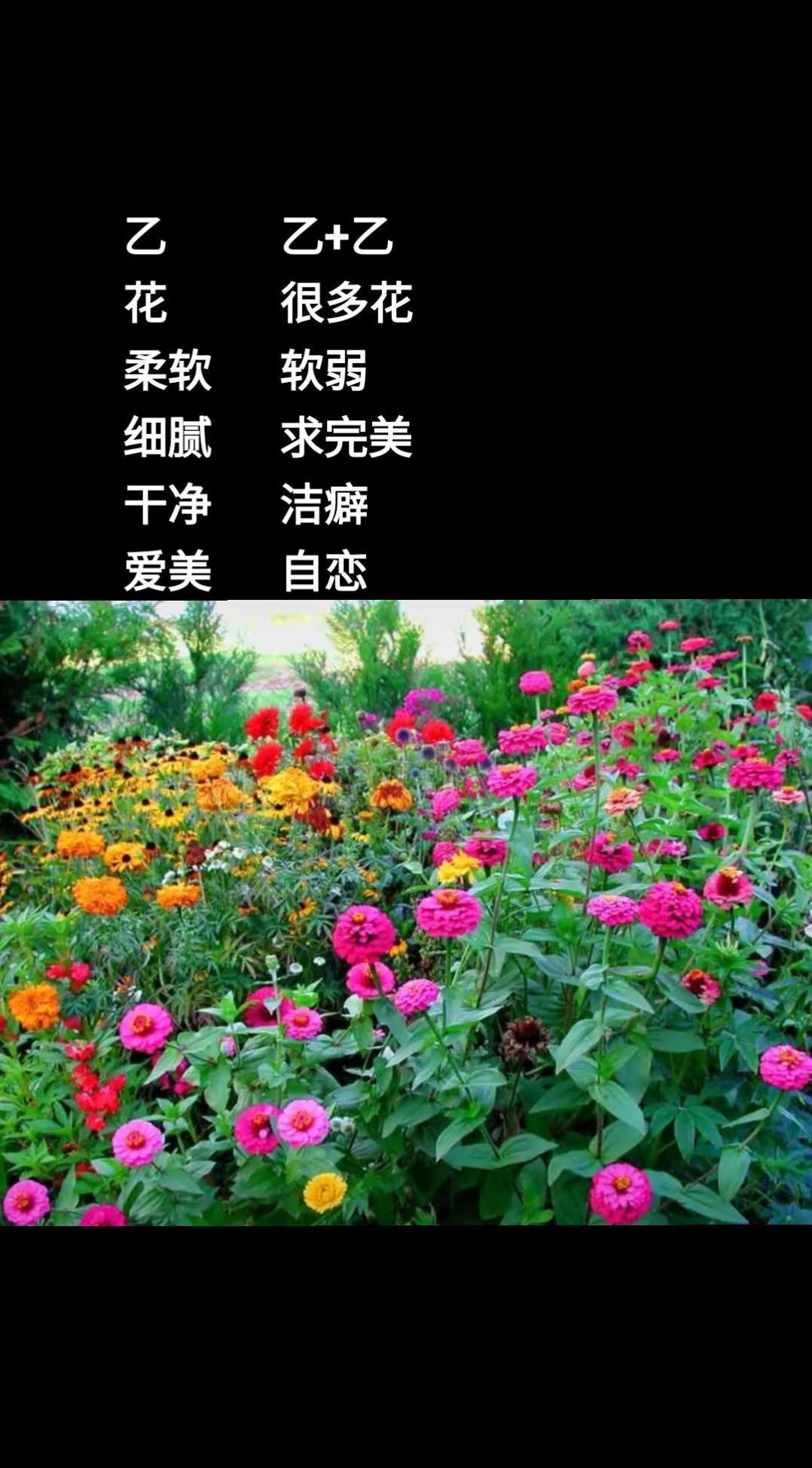 国学溯源  乙代表的含义。图片来自网络