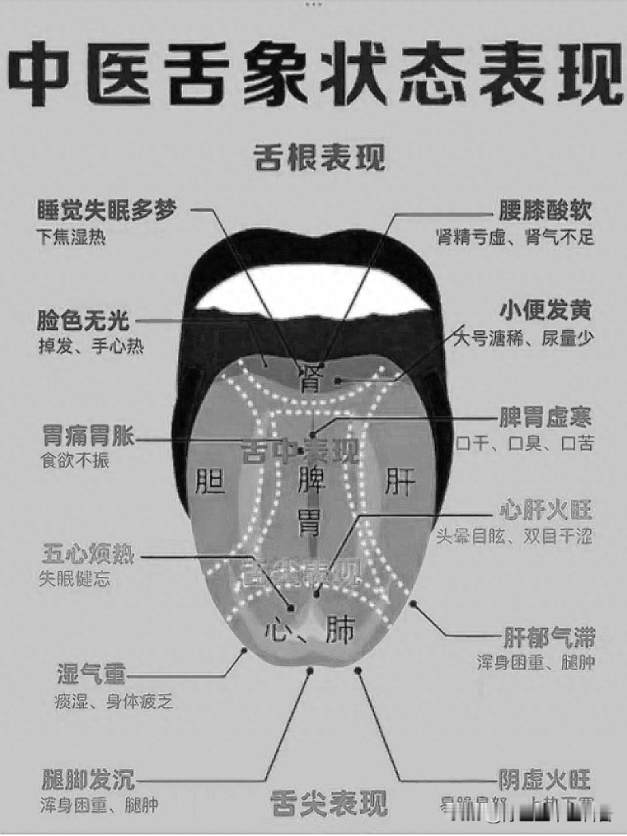 中医舌诊奇招：一眼看穿身体状态！