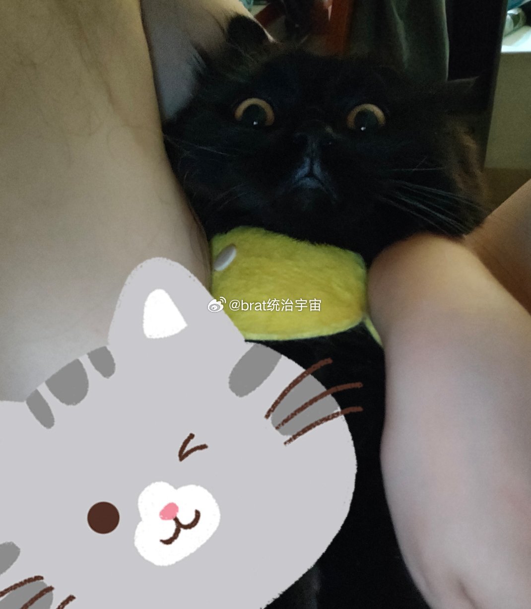 萌薯了 