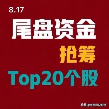 2026‑08‑17，A股尾盘30分钟资金抢筹（前20）

1. 长鑫科技｜尾盘