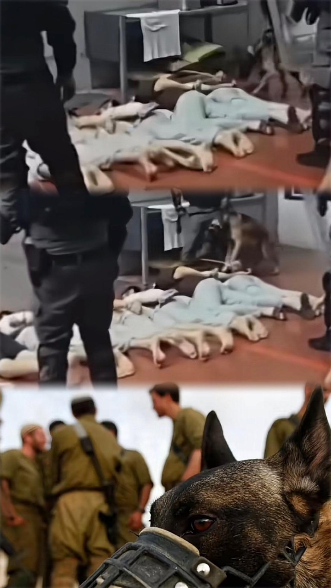 很难想象，这些文字背后是怎样的绝望。
战争里，最受伤的永远是无辜的普通人。
希望