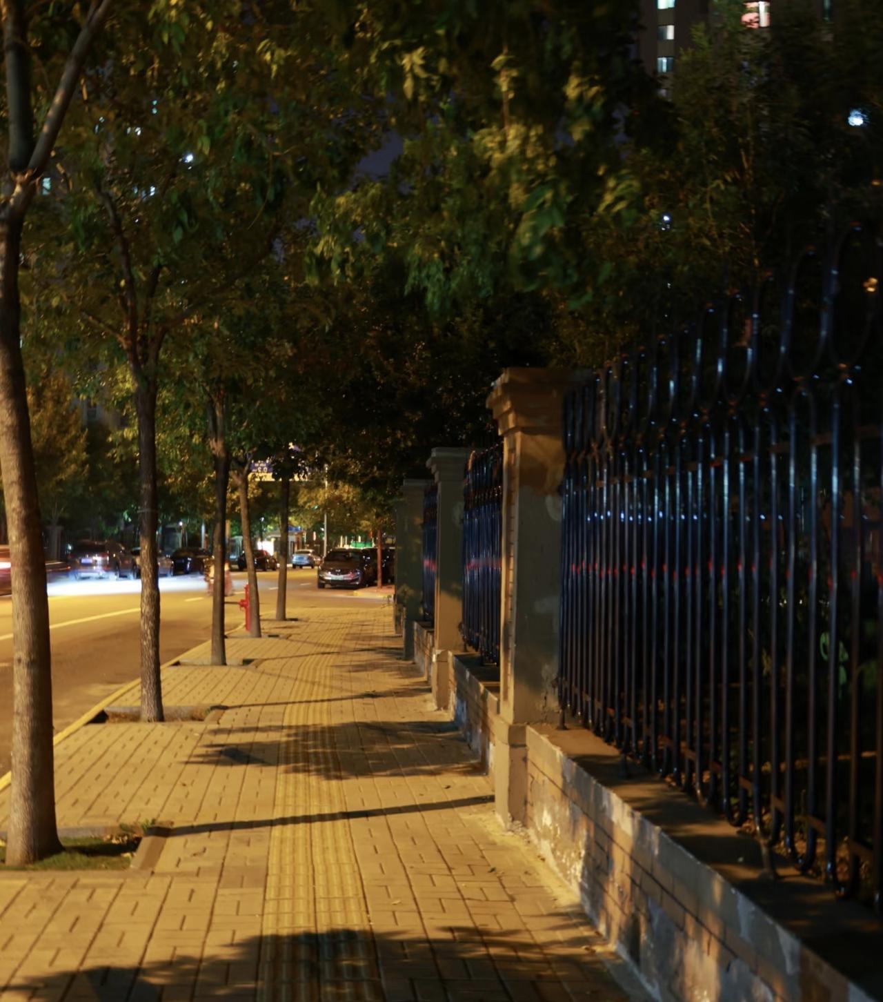 下班拐进这条熟悉的小路，暖黄的路灯已经亮起，把树影揉成一片片温柔的光斑，铺在脚下