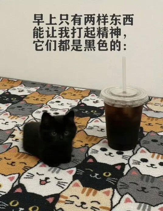 猫咖☕️ 