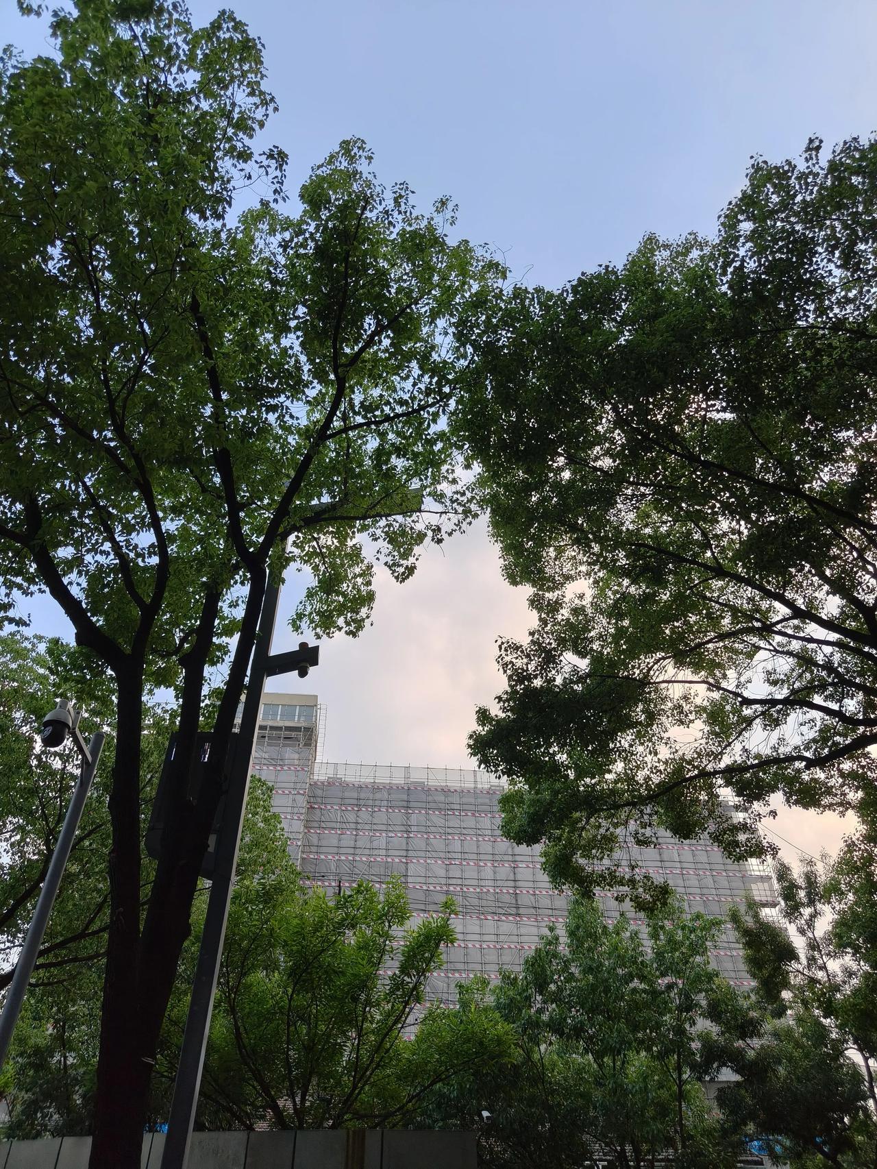 我认为不算