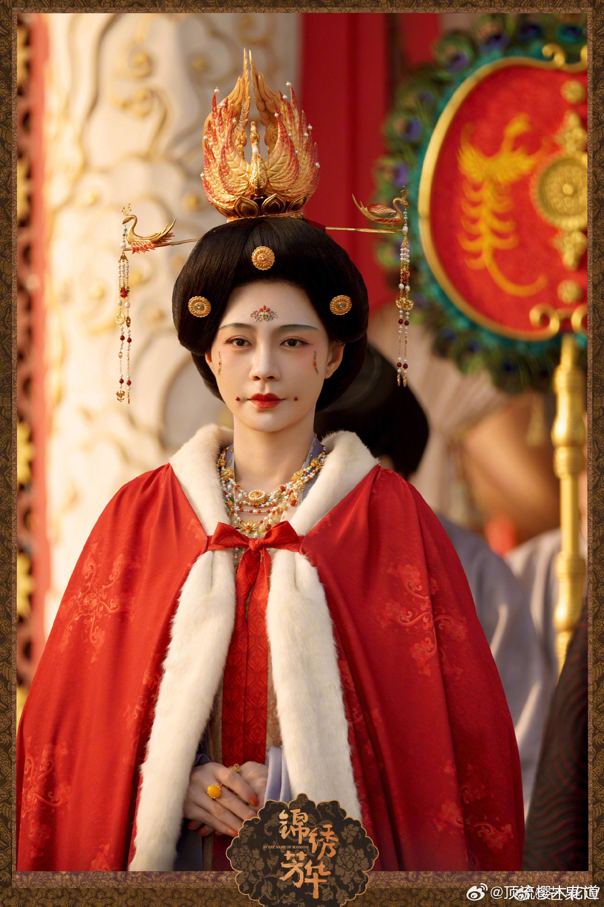 国色芳华再度上星又一年牡丹盛开时，犹记那年洛阳牡丹花团锦簇艳丽非常。国色芳华再度