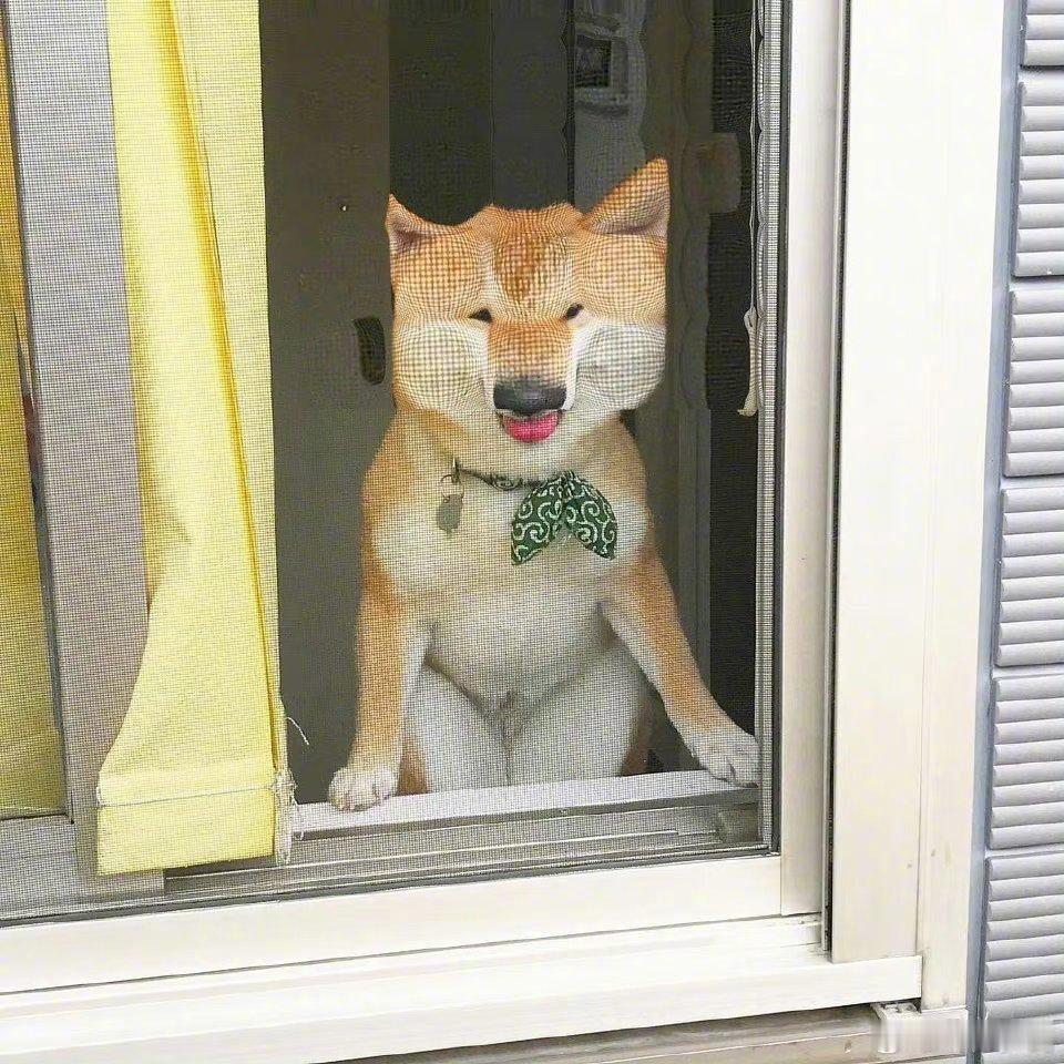 像素风？ ​​​