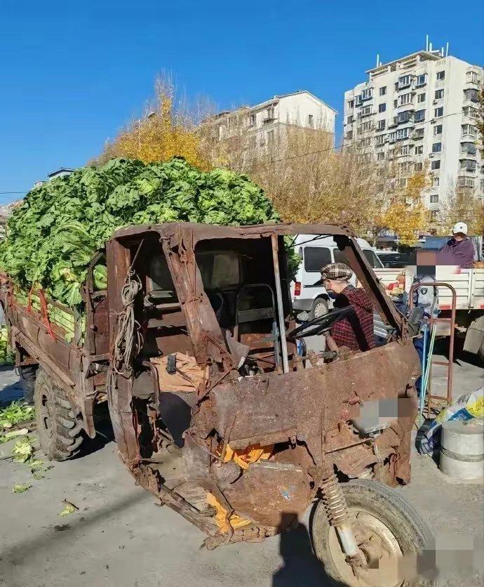 这辆三蹦子，浑身除了喇叭不响，哪都响[允悲] 