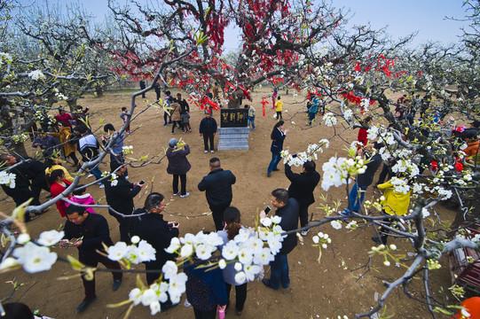 非遗市集的开幕，不仅是一次文化的聚会，更是一场时间与空间的对话。漫步于梨花广场，