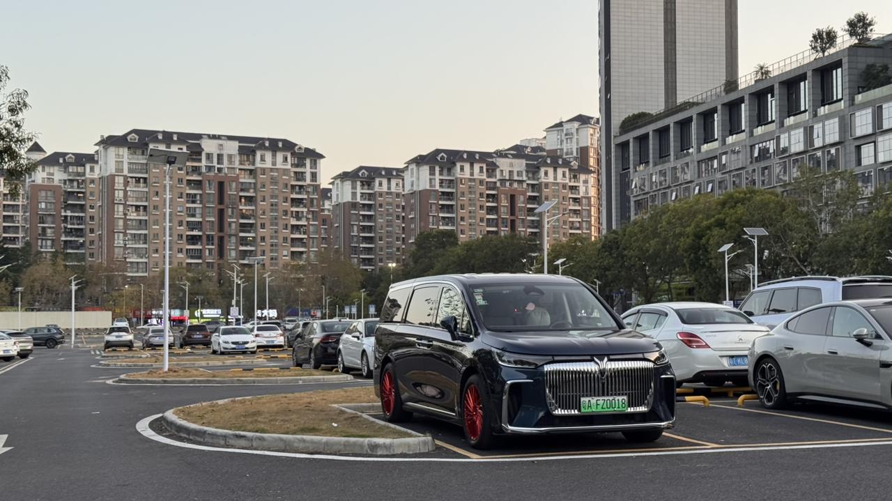 停户外停车位最讨厌的情形之一…
明明躲开了树底，头顶是晴空万里
却躲不开鸟屎的袭