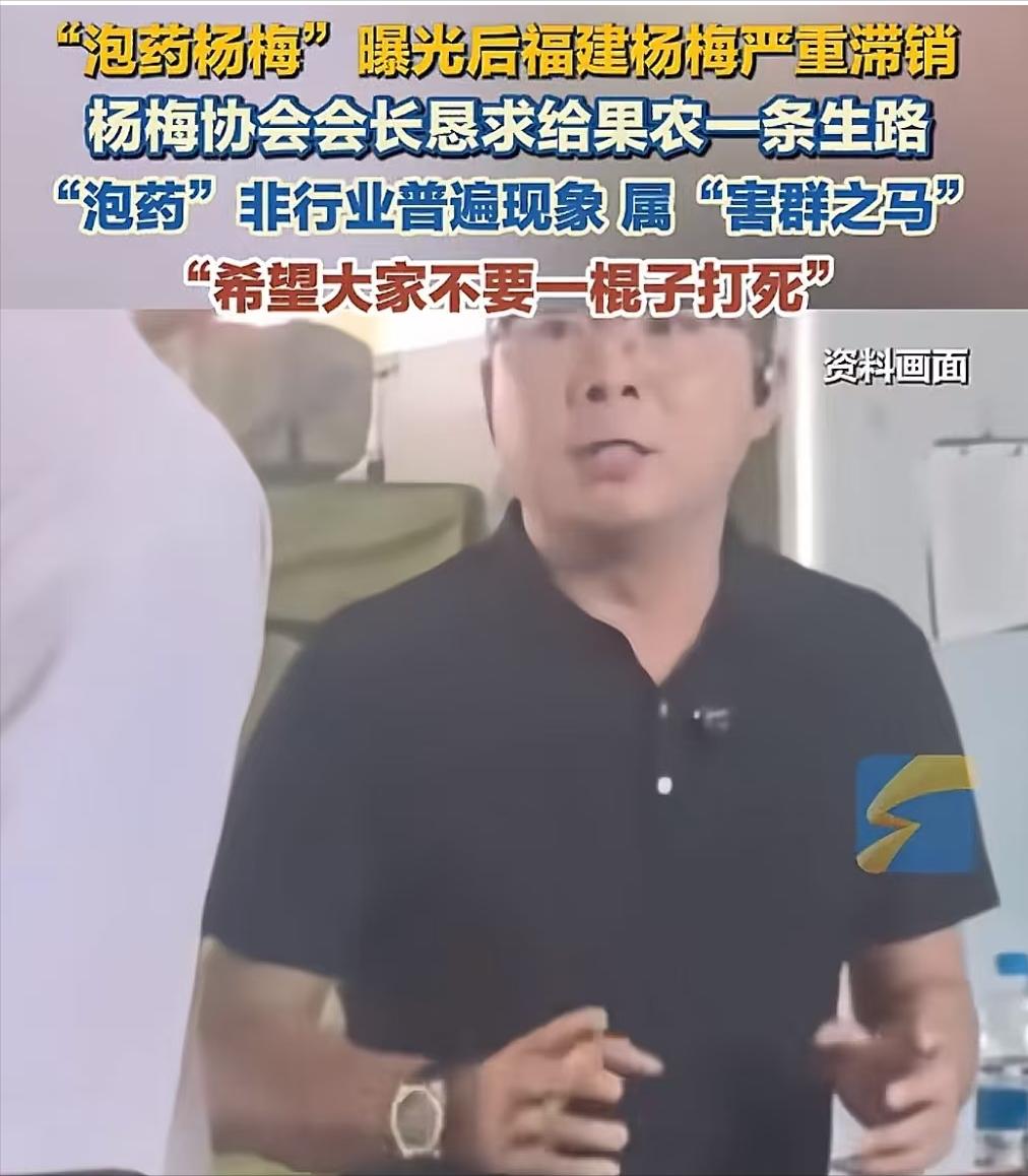 孩子没了，奶来了。福建杨梅协会会长恳求给果农一条生路，不要一竿打翻一船人。

在