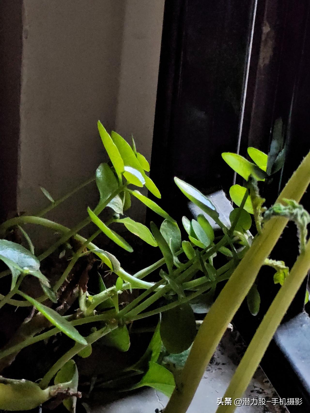 分享一张你手机里最近拍的风景照