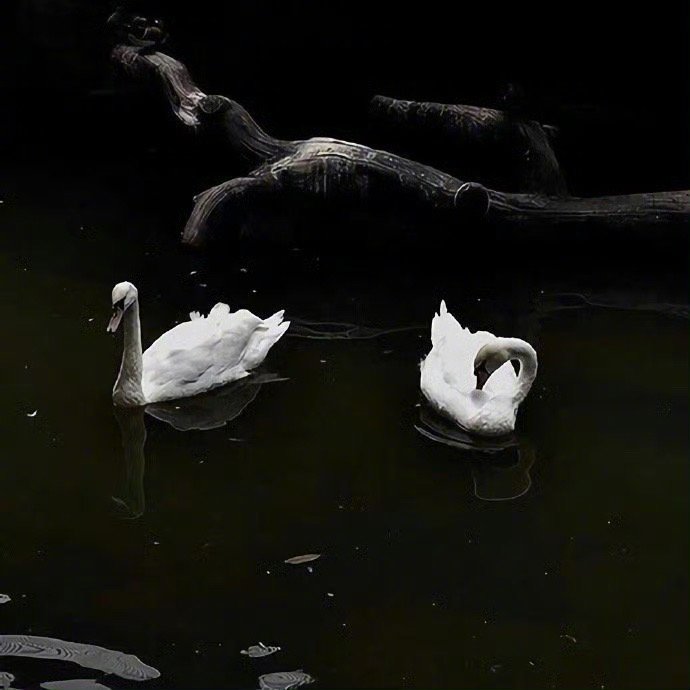 人与人之间，所谓的同频共振都是暂时的，相处久了，很多的“同频”和“共振”的感受都