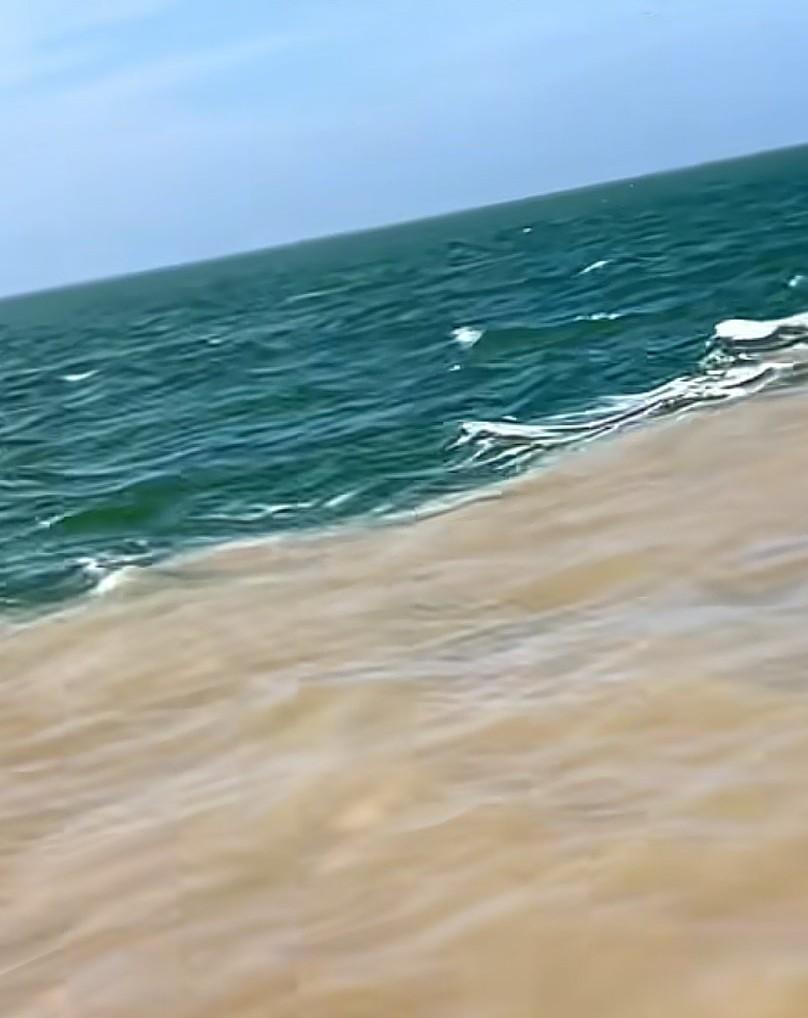 “清者自清，浊者自浊“的成语，原来从这里来的呀！[捂脸]它们究竟是怎么做到的呢？