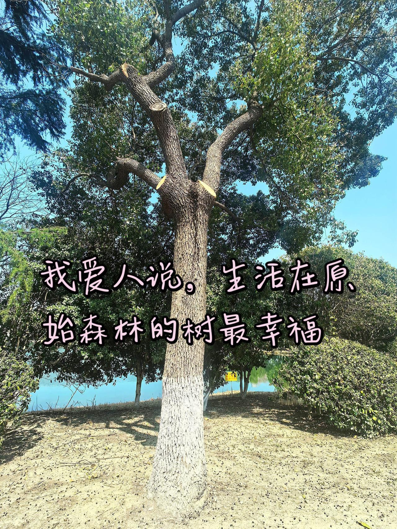 爱旅行爱摄影 退休