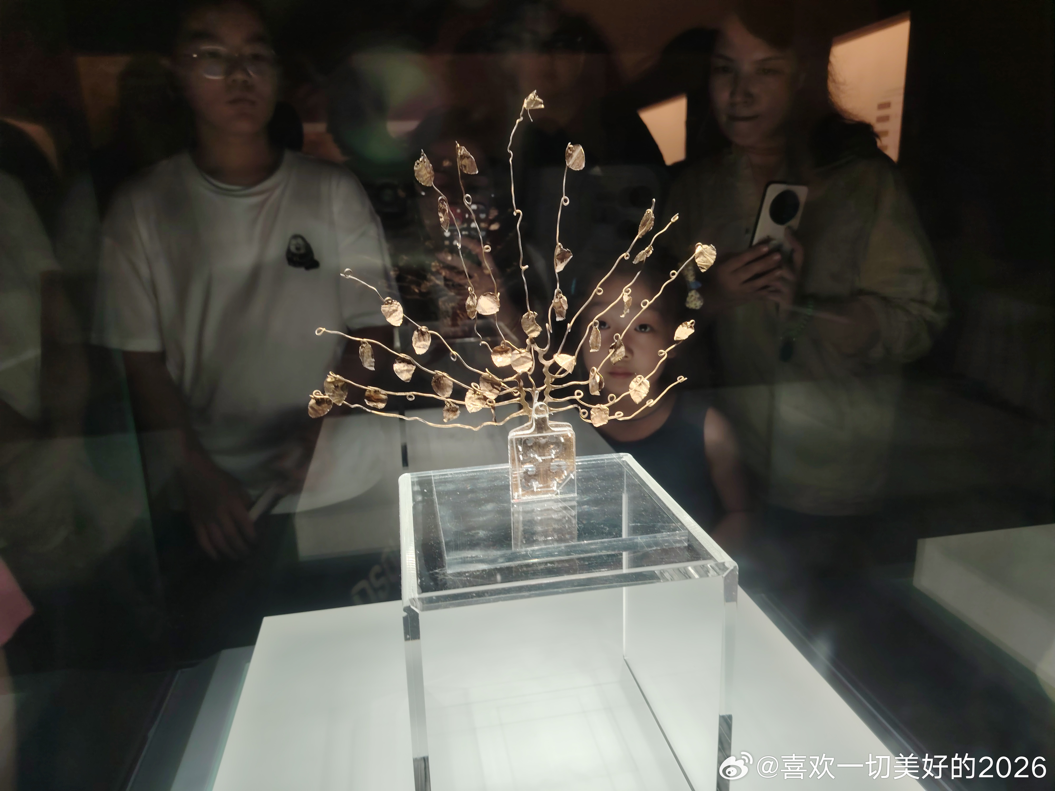 花树状金步摇，鲜卑女孩带的头饰，含金量超过9成。 