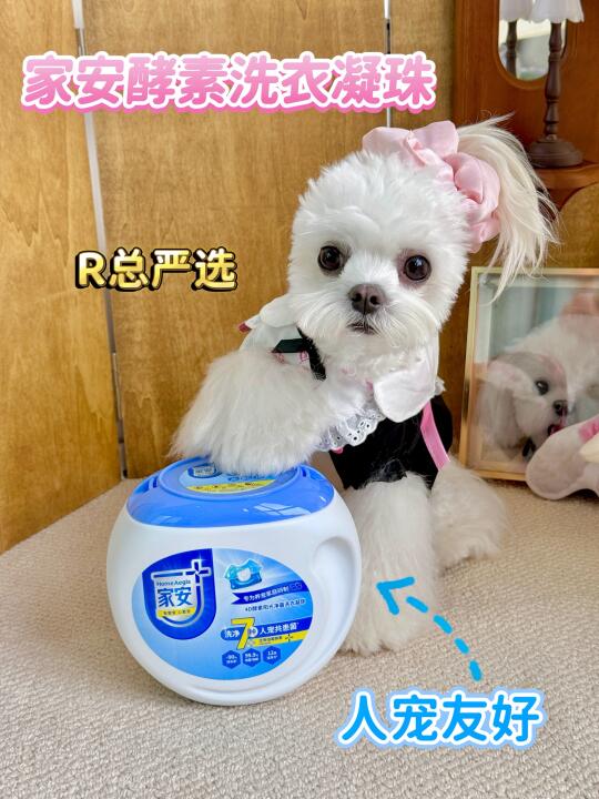 科学养狗提示！高敏狗狗得用低敏凝珠