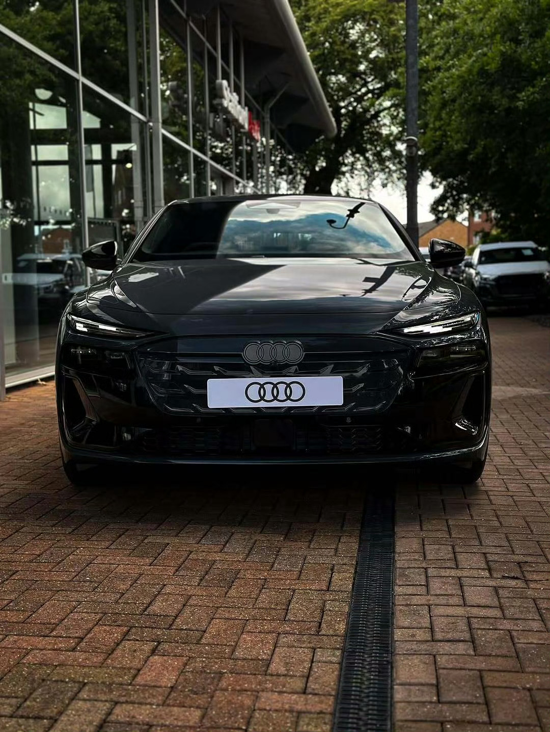 奥迪 A6 Avant e-tron ​​​[色][色] ​​​