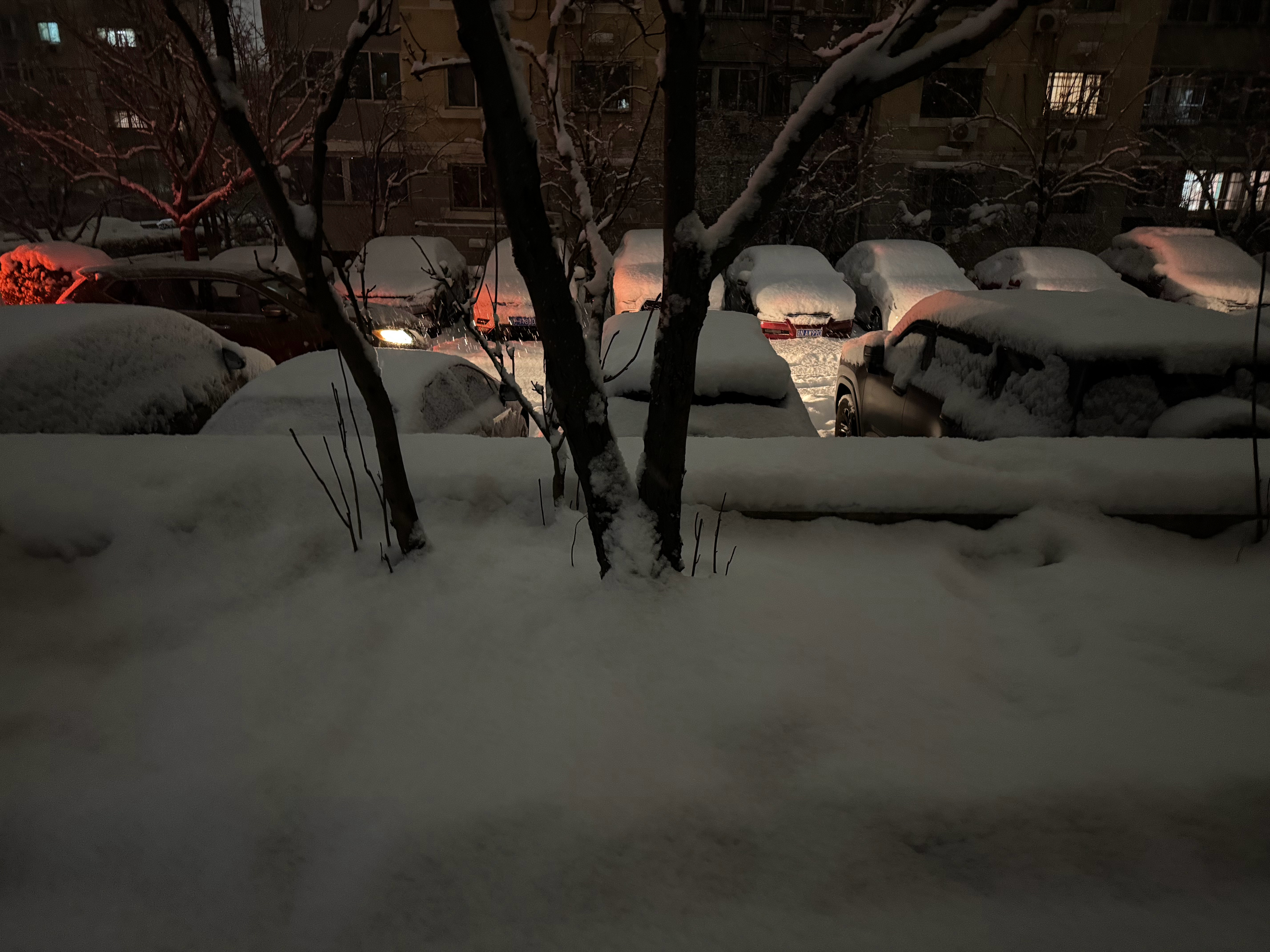 北京一天两波雪今天北京这个大雪的规模最近几年都没见过，最深的地方都快把我家狗脸给