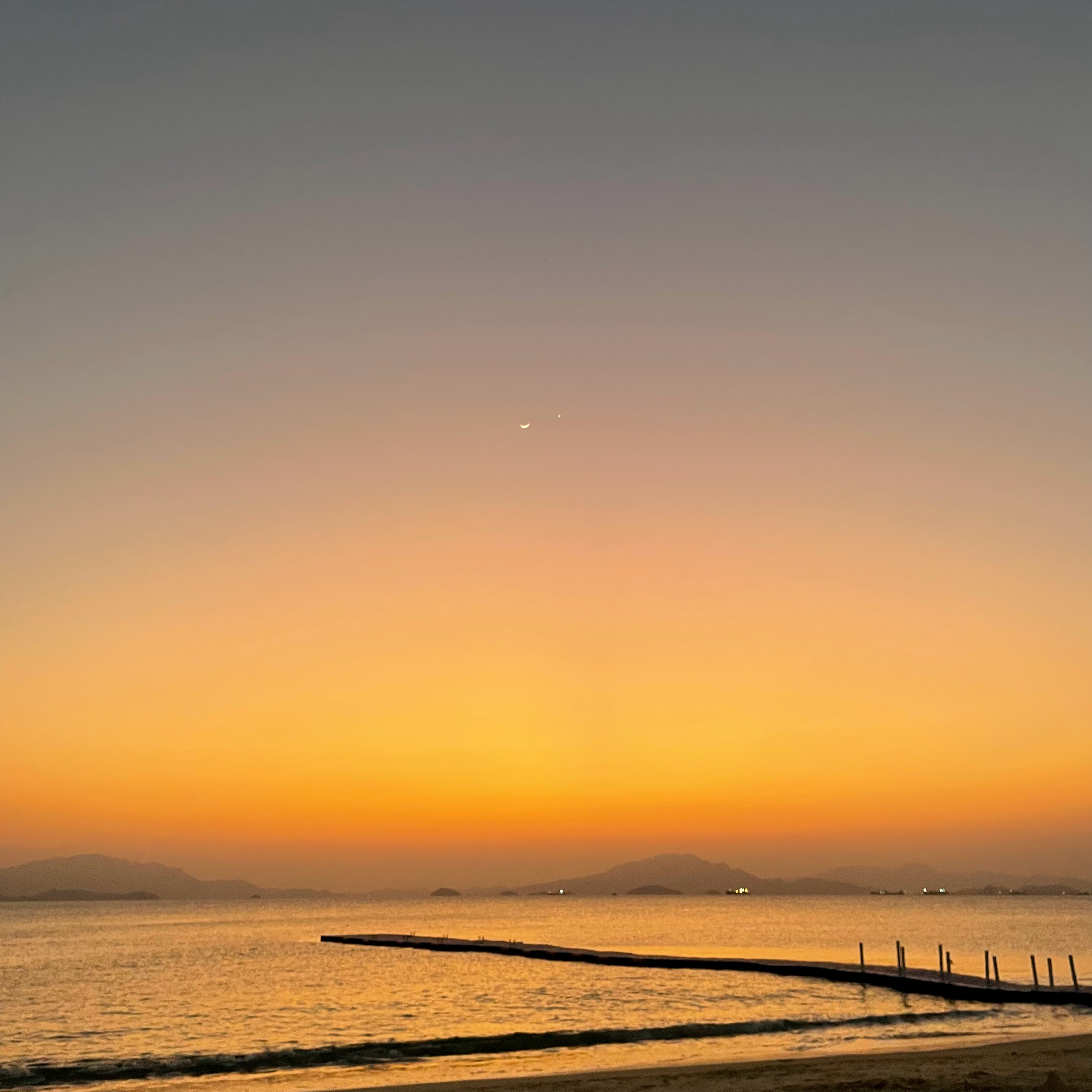 在深圳赶海捡到了波士顿大龙虾果然赶海也得看时机，两年前去的，啥都没捞着[二哈] 