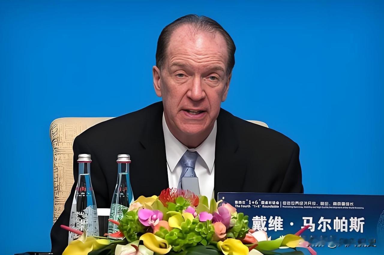 5月12日，世界银行前行长戴维·马尔帕斯，在接受英国广播公司采访时表示，“中国必