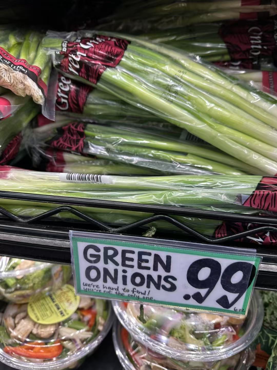 国外貌似没有小葱，只有这种 green onions 绿葱（图一）。咱们中国人做
