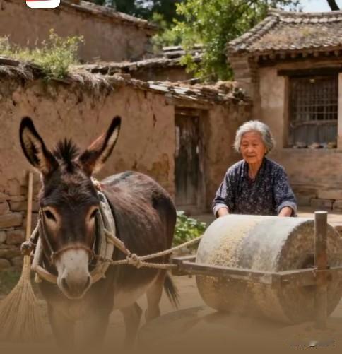 碾磨坊的岁月
 
五十年代的碾磨坊里，老石磨转得慢悠悠。毛驴套着缰绳，蹄子轻踏地