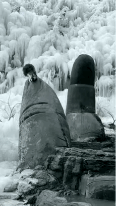 这猴子真有点倒反天罡了 