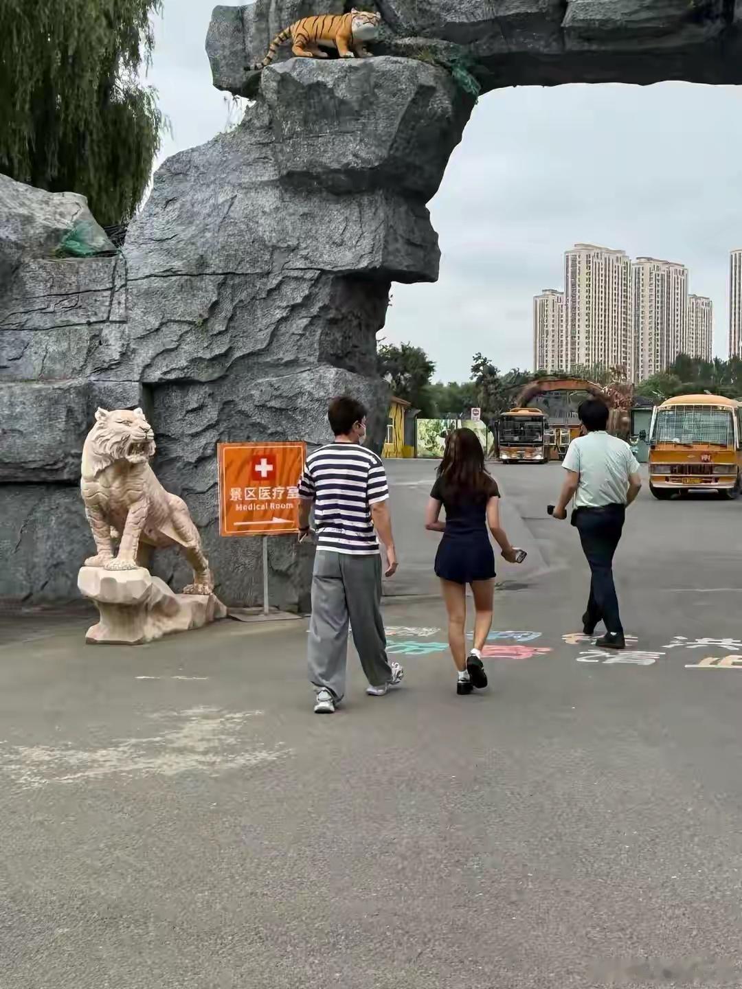 有网友偶遇贾乃亮和甜馨回东北过暑假，父女俩一起逛虎园，画面温馨有爱 