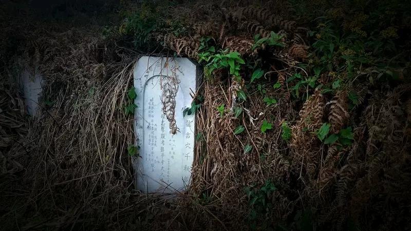 亡父坟墓惊现盗洞 女儿报警 这是大批蜜蜂来了而出现的怪事。云南泸西县的张女士，父