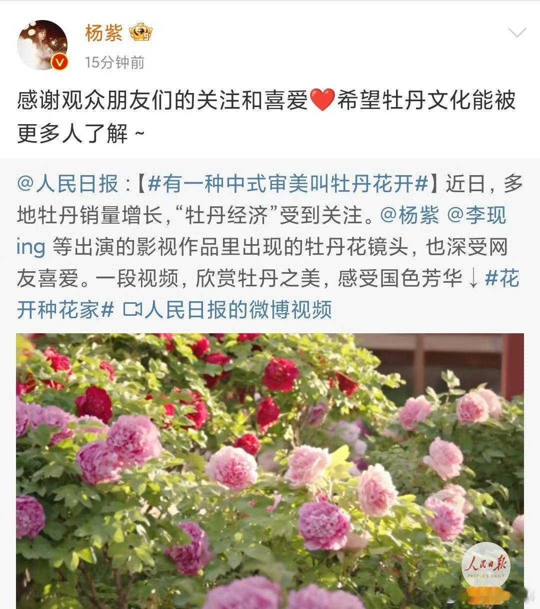 杨紫感谢观众 杨紫感谢观众朋友们的关注和喜爱转发人民日报宣传牡丹文化 ，希望牡丹