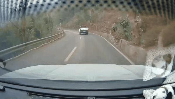 这是有多急的事情，这种情况了还想超车