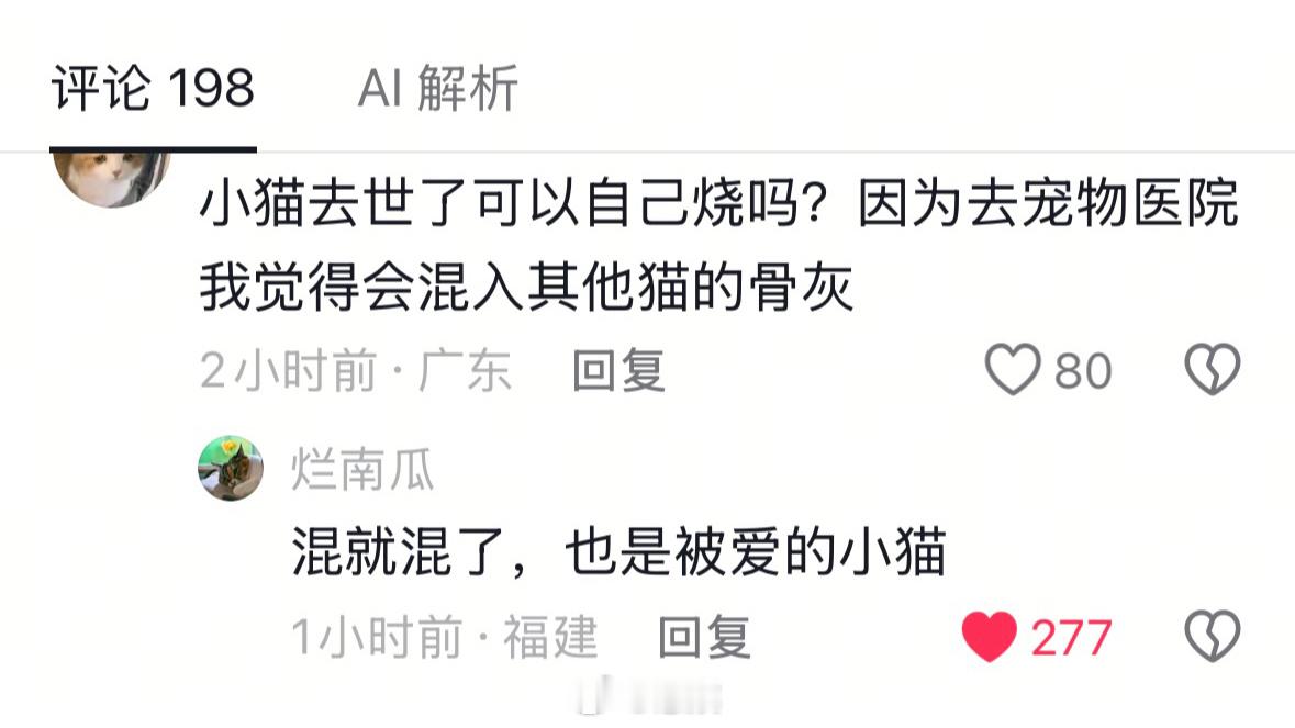混就混了，也是被爱的小猫 