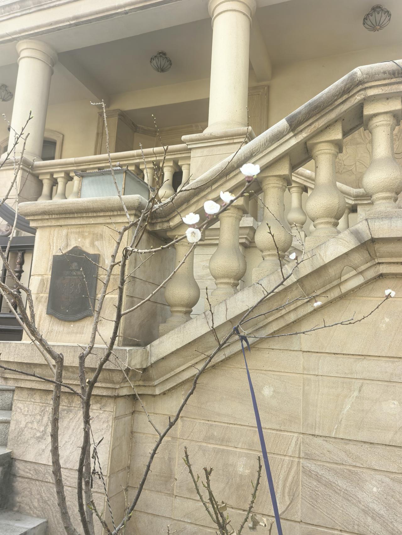 2026012。桃花没见到呢，杏花倒先开了。